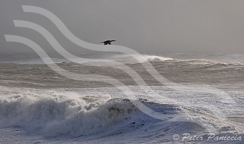 Portland Bill after the Storm #4